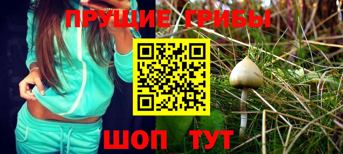 Псилоцибиновые грибы мухоморы Тайшет