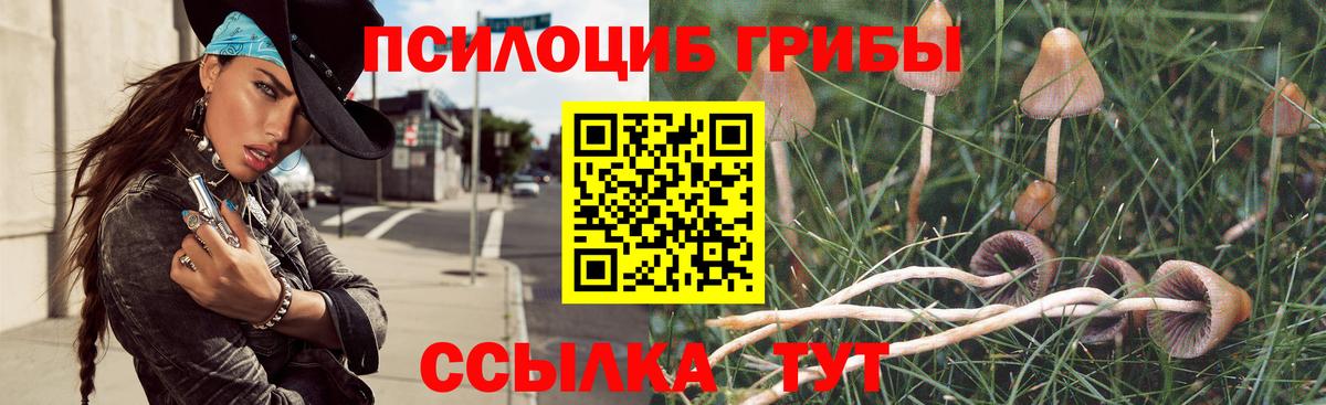 наркотики  Галлюциногенные грибы Psilocybe  Вход с VPN  Тайшет  Галлюциногенные грибы GOLDEN TEACHER 